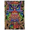 Latch Hook Rug Kits for Adults, Colorful Owl with Preprinted Canvas Pattern DIY Carpet Tapestry Rug Cushion Yarn Needlepoint, 22.5X33.5Inch / 58X85cm